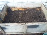 compost made last year